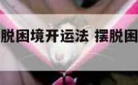 教你如何摆脱困境开运法 摆脱困境的有效方法有哪些