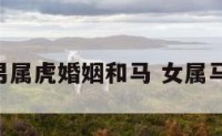 女属马男属虎婚姻和马 女属马,男属虎