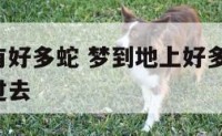 梦见地理有好多蛇 梦到地上好多蛇,自己好不容易才过去