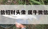 属相牛的微信招财头像 属牛微信旺财旺运头像