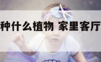 客厅走廊能种什么植物 家里客厅走廊适合摆放的植物