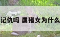 属猪的女人记仇吗 属猪女为什么会恨一个人