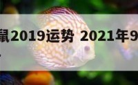 9月属鼠2019运势 2021年9月份属鼠运势