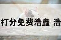 姓名测试打分免费浩鑫 浩姓名代码