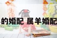 周易相属羊的婚配 属羊婚配属相表大全