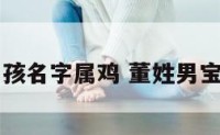 董姓男孩名字属鸡 董姓男宝宝取名