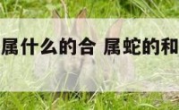 属蛇的人和属什么的合 属蛇的和属什么的最好
