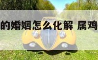 属鸡和属狗的婚姻怎么化解 属鸡和属狗的婚姻如何化解