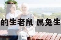 属兔的生老鼠 属兔生属鼠