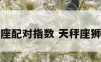 天平座狮子座配对指数 天秤座狮子座配不配