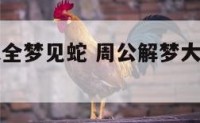 周公解梦大全梦见蛇 周公解梦大全梦见蛇在自己身上