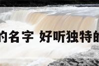 有趣服装店的名字 好听独特的服装店名字