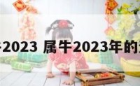 属牛2023 属牛2023年的运势