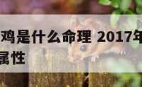 2017年鸡是什么命理 2017年鸡是什么命理属性