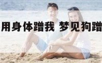 梦见一只狗用身体蹭我 梦见狗蹭我的腿是什么意思