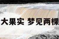 梦见果树两个大果实 梦见两棵果树结满果实