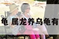 属龙养乌龟 属龙养乌龟有什么说法