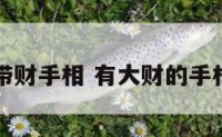 带财手相 有大财的手相