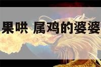 属鸡的婆婆如果哄 属鸡的婆婆是不是很难相处