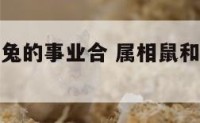 属鼠的和属兔的事业合 属相鼠和兔适宜一起事业吗