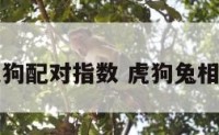 虎兔狗配对指数 虎狗兔相配吗