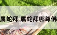 属蛇拜 属蛇拜哪尊佛