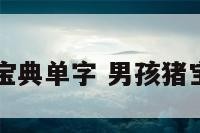 猪宝宝起名宝典单字 男孩猪宝宝单字取名