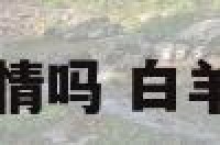 白羊座有感情吗 白羊座有爱情吗