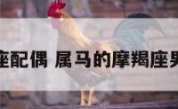 属马摩羯座配偶 属马的摩羯座男生的爱情