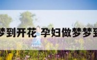 孕妇做梦梦到开花 孕妇做梦梦到开花的花