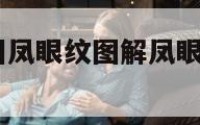 手相风眼 手相凤眼纹图解凤眼纹说明了什么?