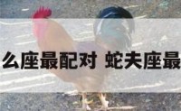 蛇夫男和什么座最配对 蛇夫座最配什么星座