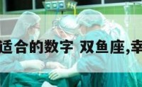 双鱼座适合的数字 双鱼座,幸运数字