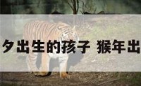 属猴除夕出生的孩子 猴年出生好吗