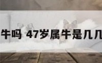 47是属牛吗 47岁属牛是几几年生人