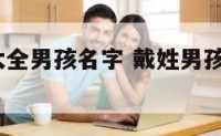 戴字姓名大全男孩名字 戴姓男孩名字大全2021