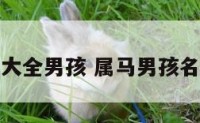 属马的姓名大全男孩 属马男孩名字最佳用字