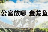 金龙鱼摆件办公室放哪 金龙鱼摆件的摆放有讲究吗