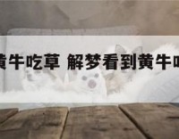 解梦看到黄牛吃草 解梦看到黄牛吃草什么意思