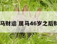 48岁属马财运 属马46岁之后财运如何