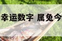 属兔的今天的幸运数字 属兔今天的幸运数字1987