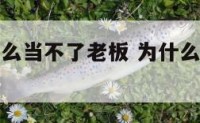 金牛座为什么当不了老板 为什么金牛座的人很少
