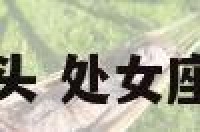 处女座女出轨回头 处女座出轨后会回头吗