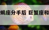 巨蟹座和天蝎座分手后 巨蟹座和天蝎座分手后的表现