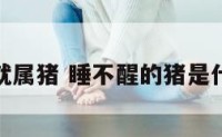 睡不着就属猪 睡不醒的猪是什么意思