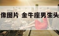 金牛座男头像图片 金牛座男生头像动漫冷酷帅气