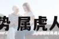 属虎人2月运势 属虎人2月运势如何