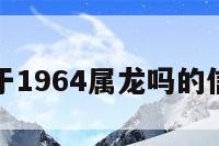 关于1964属龙吗的信息