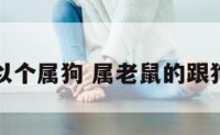 属老鼠可以个属狗 属老鼠的跟狗能配婚吗