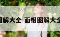 面相的图解大全 面相图解大全女 五官